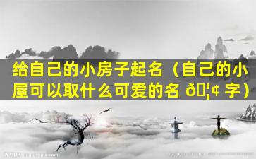 给自己的小房子起名（自己的小屋可以取什么可爱的名 🦢 字）